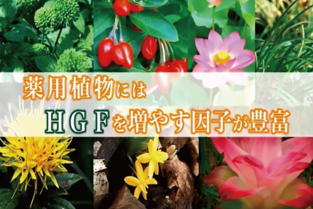 ディメノールの必要性とは